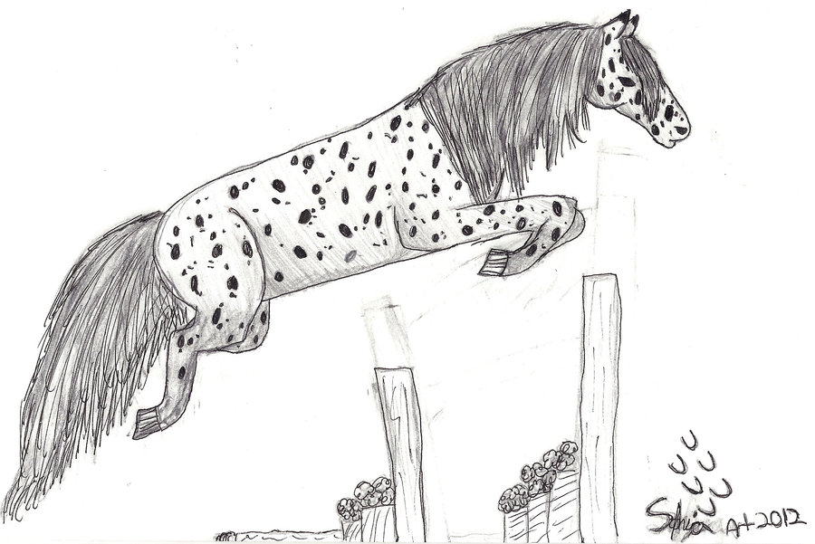 900x601 Horse Jumping By Animalfan101 - Horse Jumping Sketch