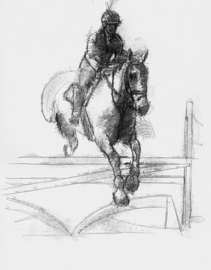 802x1024 Horse Jumping Seanbriggs - Horse Jumping Sketch