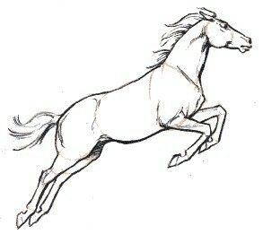 293x261 Horse Jumping Sketch Sketching Ideas Horse - Horse Jumping Sketch