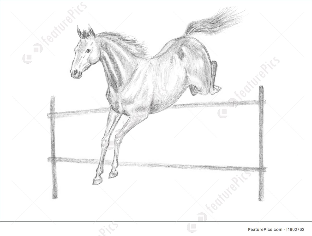 1300x983 Jumping Horse Drawing Picture - Horse Jumping Sketch