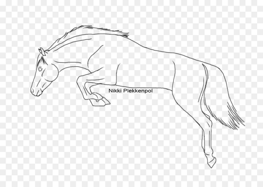 900x640 Mustang Drawing Show Jumping How To Draw A Horse - Horse Jumping Sketch