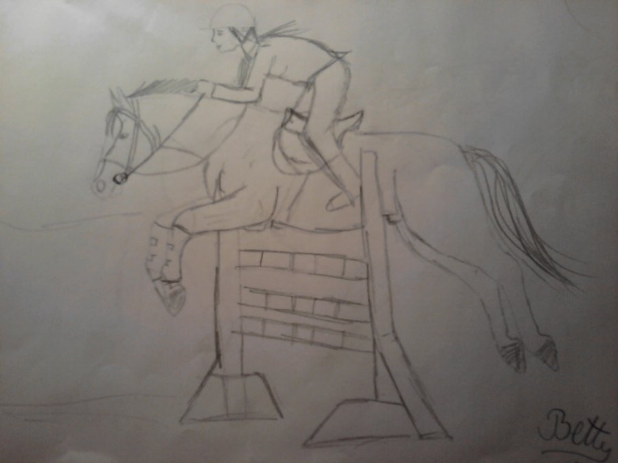 900x675 Horse Jumping Sketch By Hachi16 - Horse Jumping Sketch