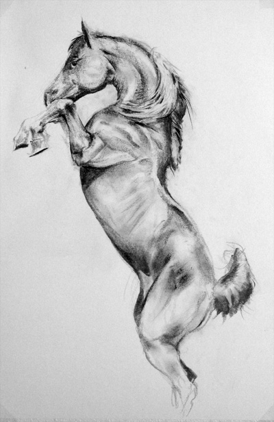 400x616 Horse Sketch - Horse Jumping Sketch
