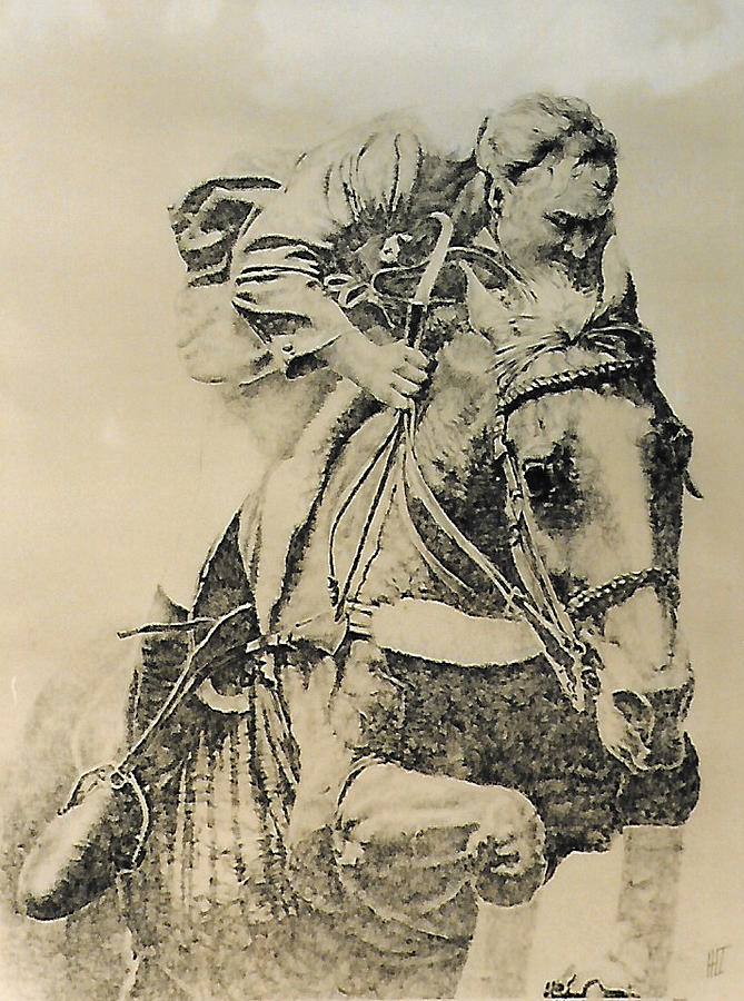 669x900 Horse Jumping Drawing By Herb Taylor - Horse Jumping Sketch