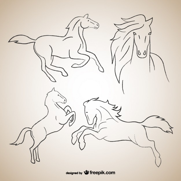 626x626 Horse Outline Vectors, Photos And Psd Files Free Download - Horse Outline Sketch