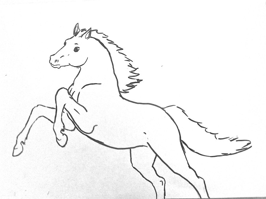900x675 Horse Outline By Brunonade - Horse Outline Sketch