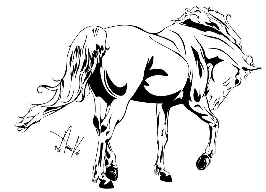 900x649 Horse Outline Drawing - Horse Outline Sketch
