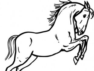 310x233 Horse Outline Drawings Free Vectors Ui Download - Horse Outline Sketch