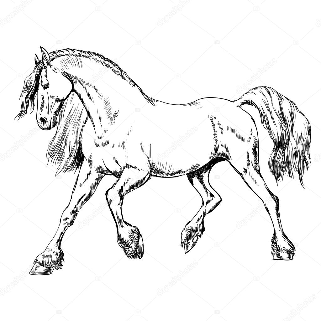 1024x1024 Outline Horse Sketch Stock Vector C Tanjasum Gmailcom Outline - Horse Outline Sketch
