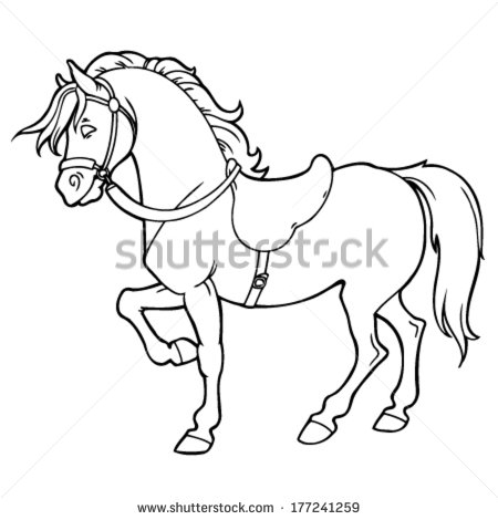 450x470 Horse Outlines - Horse Outline Sketch