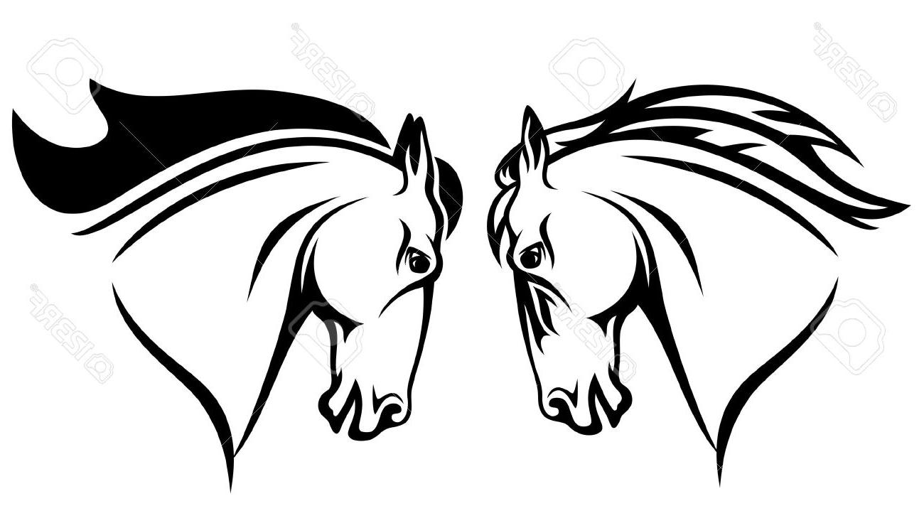 1300x743 Best Hd Horse Head Vector Design Black And White Outline Stock - Horse Outline Sketch