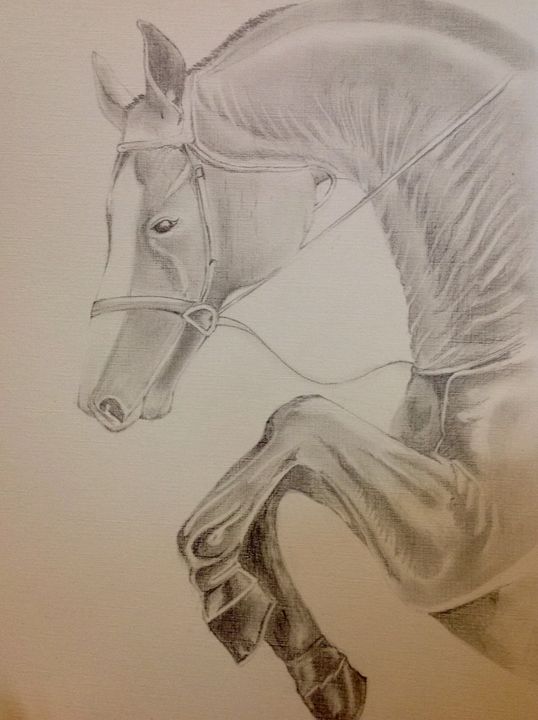 538x720 Horse Pencil Sketch - Horse Pencil Sketch