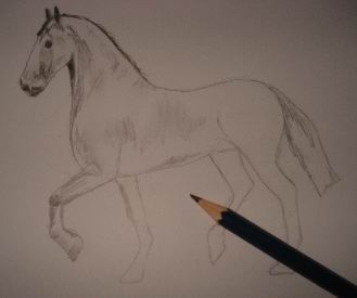 329x275 Pencil Drawing Of A Horse - Horse Pencil Sketch
