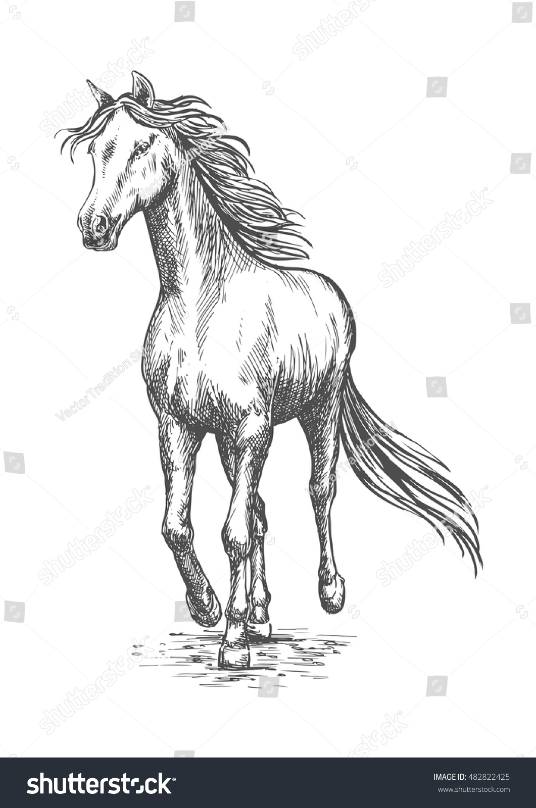 1061x1600 Pencil Sketch Of Horse Images Running White Horse Pencil Sketch - Horse Pencil Sketch