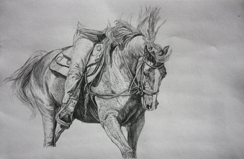 1024x667 Pencil Sketch Horse 2 By Sunwolf29 - Horse Pencil Sketch