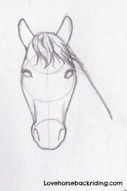 250x375 Designing Horse Pencil Drawings - Horse Pencil Sketch