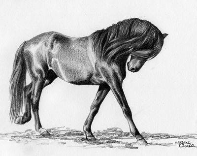 400x317 Pencil Sketch Art Designs Photos Pencil Sketches Of Horses - Horse Pencil Sketch