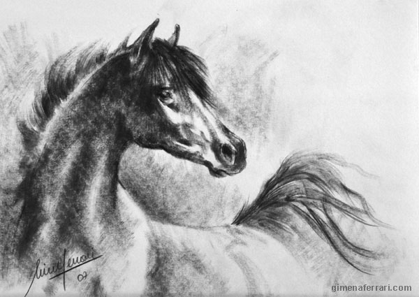 600x425 Drawn Horse Wild Horse - Horse Pencil Sketch