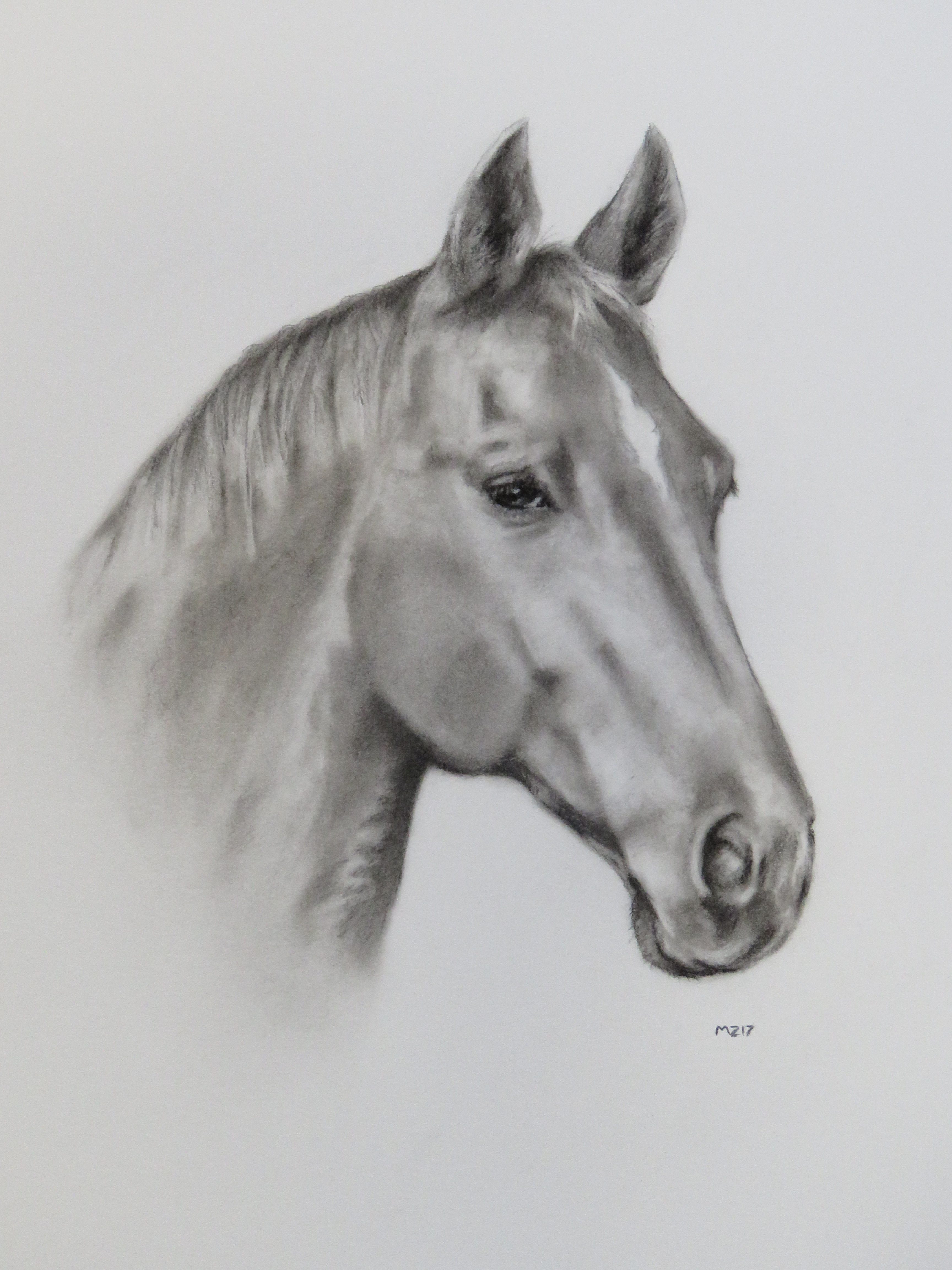 3456x4608 Horse Portraits - Horse Portrait Sketch