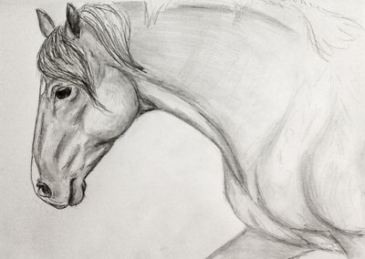 400x284 Horse Portrait Sketch By Emlis - Horse Portrait Sketch
