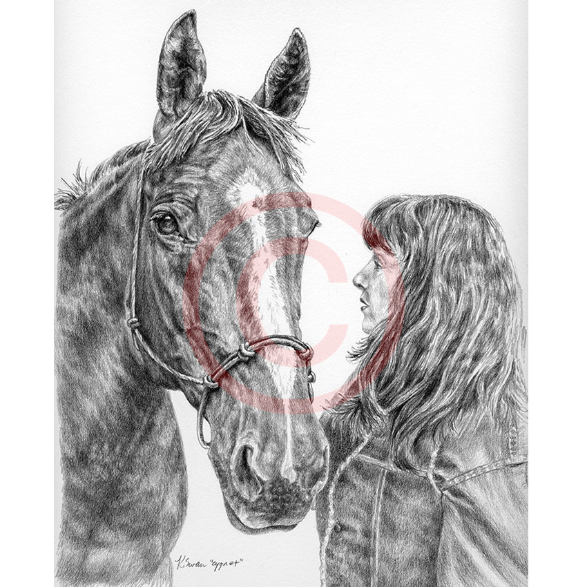 850x850 Pencil Artist Kelli Swan Custom Portraits In Black Amp White Pets - Horse Portrait Sketch