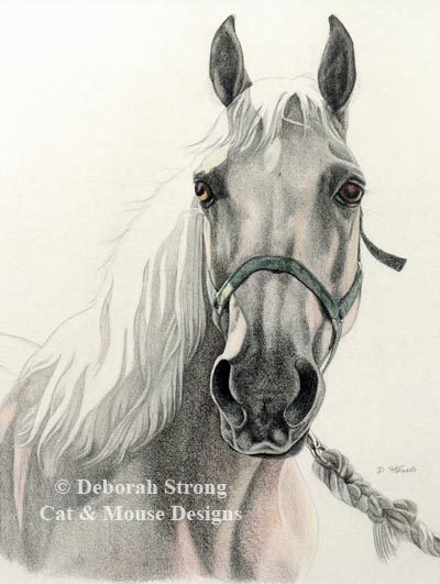 400x531 Deborah Strong Horse Portraits - Horse Portrait Sketch