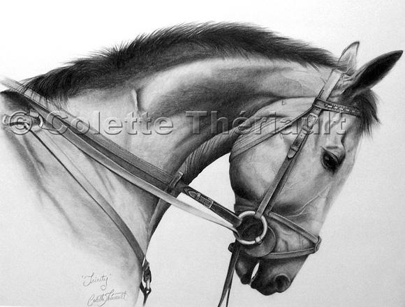 580x440 Horse Custom Graphite Pencil Pet Portrait Drawing Painting Artwork - Horse Portrait Sketch
