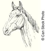 158x178 Heavy Farm Horse Profile Portrait In Sketch Style. Profile Of - Horse Profile Sketch