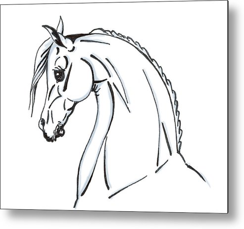 493x463 Horse Profile Sketch Metal Print By Christopher Mckenzie - Horse Profile Sketch
