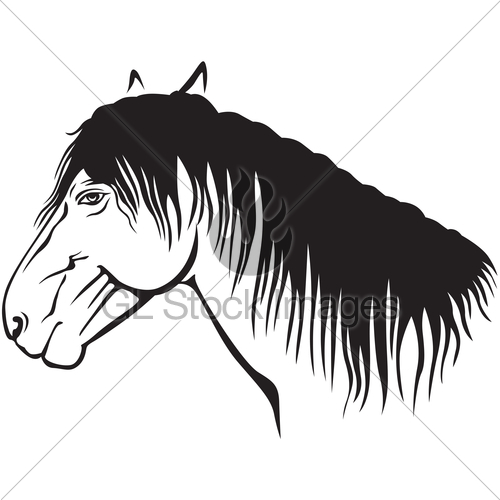 500x500 Horse Profile Gl Stock Images - Horse Profile Sketch
