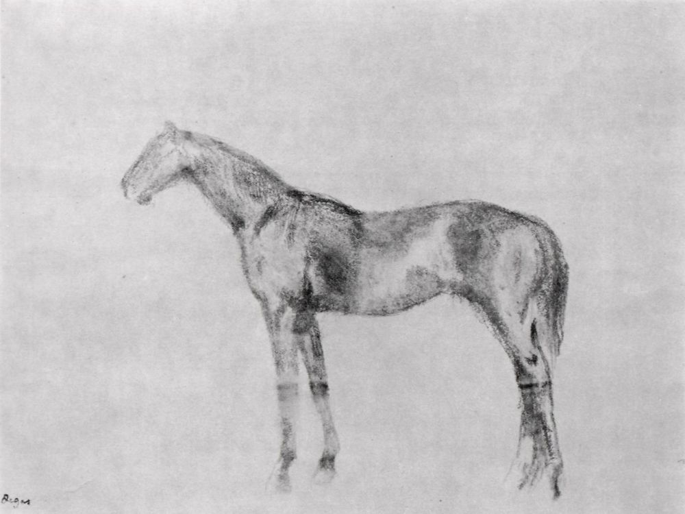 1000x750 Horse Profile By Edgar Degas History, Analysis Amp Facts - Horse Profile Sketch