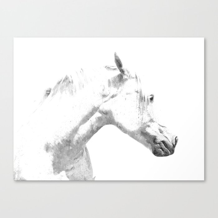 700x700 White Horse Profile Canvas Print By Alemi Society6 - Horse Profile Sketch