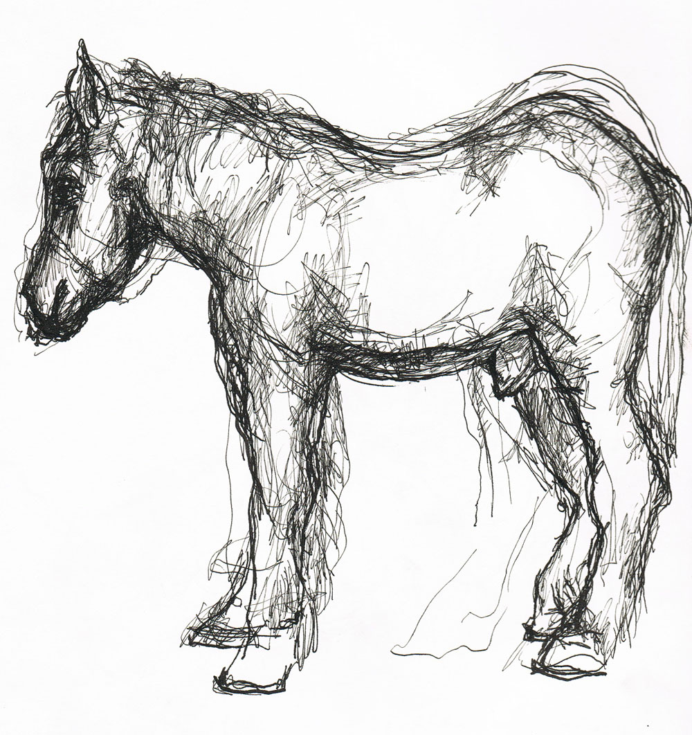 1000x1062 Zdanskysbhorseprofile Jane Zdansky - Horse Profile Sketch
