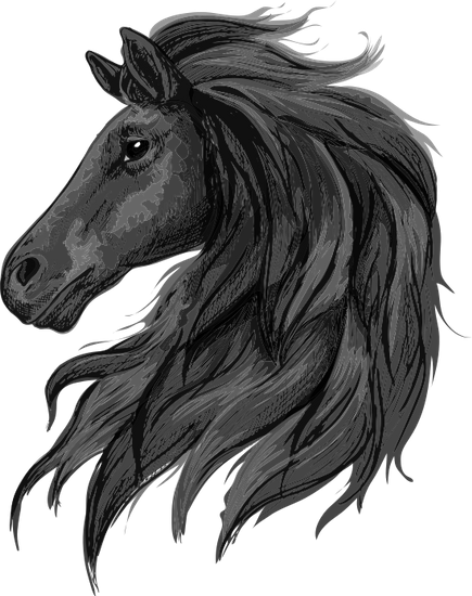 435x550 Collection Of Free Drawing Horse Portrait. Download On Ubisafe - Horse Profile Sketch