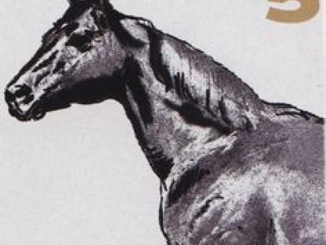 640x480 Drawn Horse Profile 16 - Horse Profile Sketch