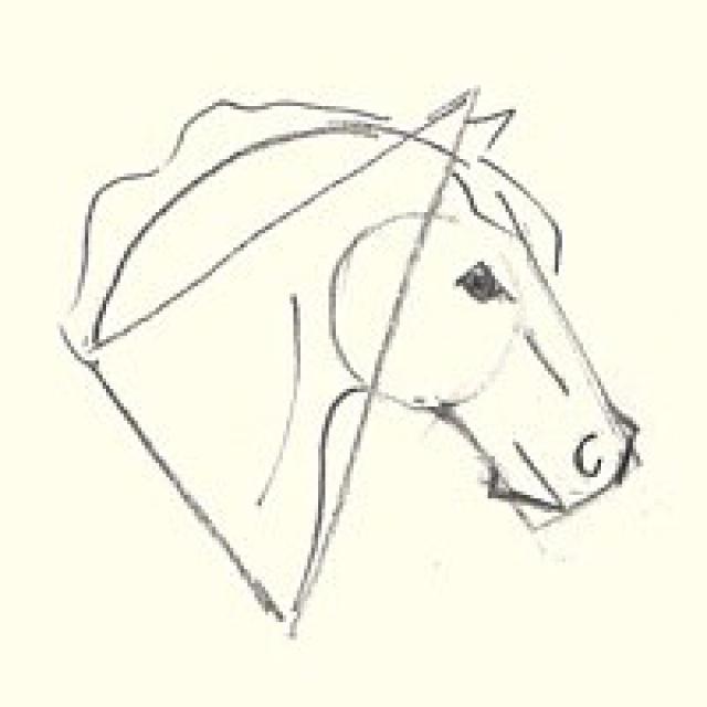 640x640 Drawn Horse Profile 28 - Horse Profile Sketch