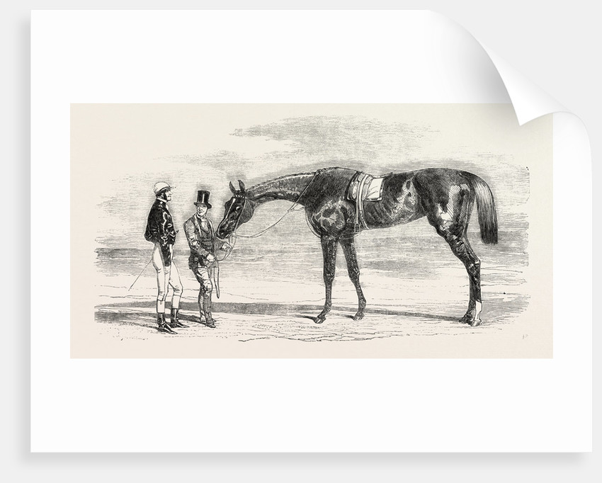 850x682 Epsom Races Iris, The Winner Of The Oaks, Uk, Horse Racing - Horse Racing Sketch