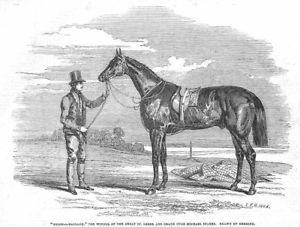 300x227 Horse Racing Foigh A Ballagh Winner Of The St Leger - Horse Racing Sketch