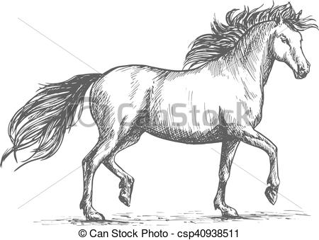 450x339 Horse Sketch With Galloping Arabian Racehorse. Arabian Horse - Horse Racing Sketch