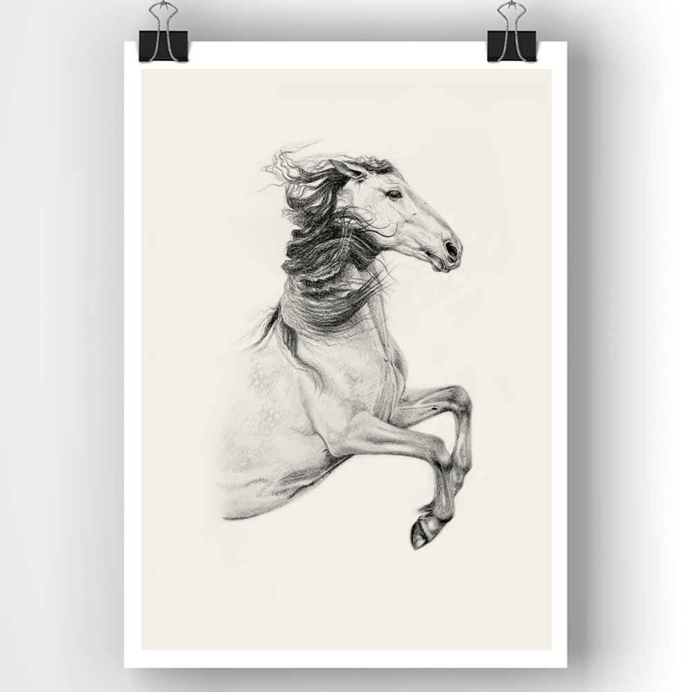 1000x1000 Rearing Horse Pencil Drawing Equestrian Artwork Horse Decor - Horse Rearing Sketch