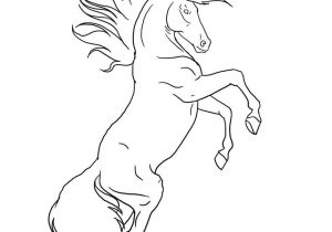 300x210 Rearing Horse Drawing Step By Step Easy Horse Drawings How To - Horse Rearing Sketch