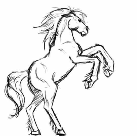 474x474 Rearing Horse Sketches. How To Draw Rearing Horse - Horse Rearing Sketch