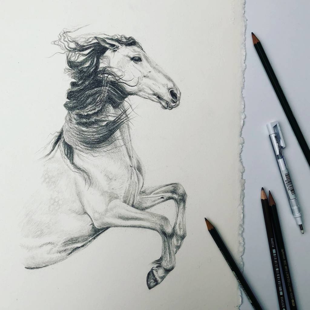 Horse Rearing Sketch at PaintingValley.com | Explore collection of ...