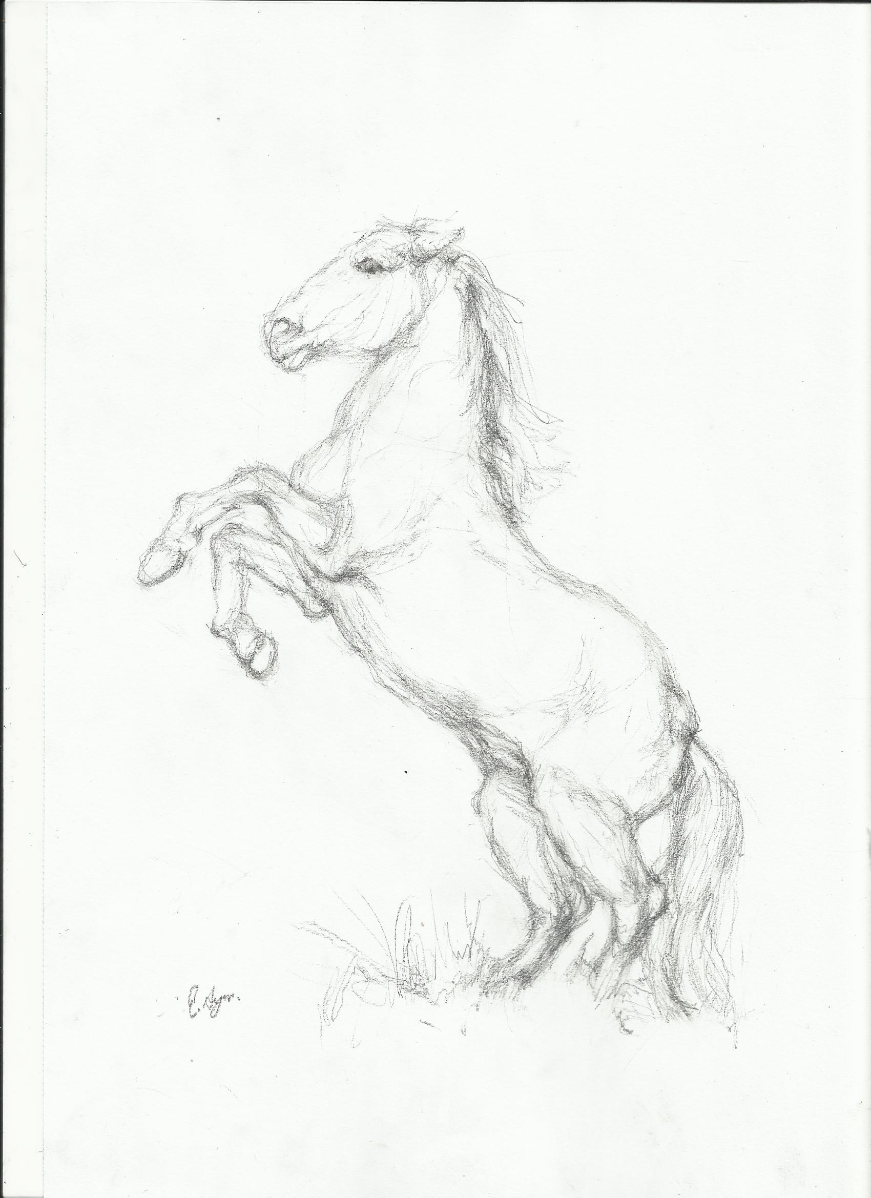 1700x2338 Horse Sketch Nightwithdeer - Horse Rearing Sketch