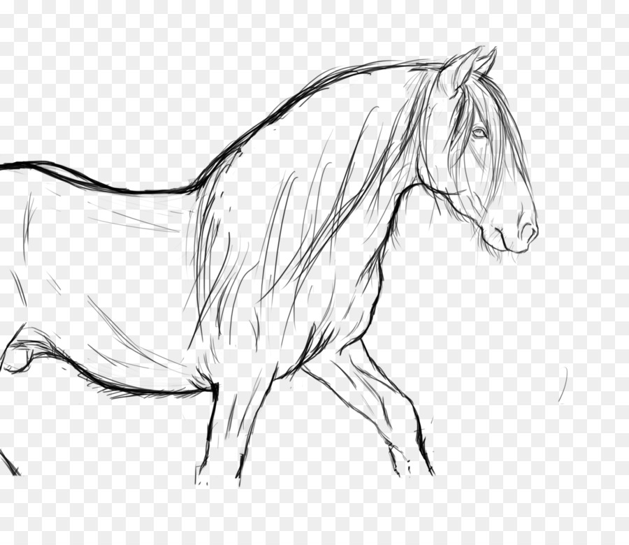 900x780 Arabian Horse Line Art Drawing Pony Rearing - Horse Rearing Sketch