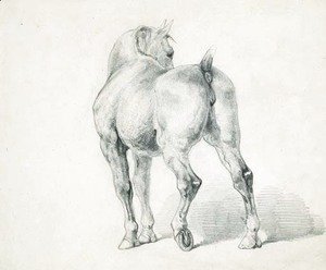 300x248 Famous Horses Amp Horse Riding Paintings Amp Reproductions - Horse Riding Sketch