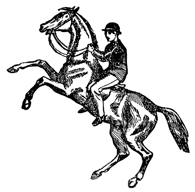 640x628 Horse Riding Clipart Sketch Horse 10 - Horse Riding Sketch