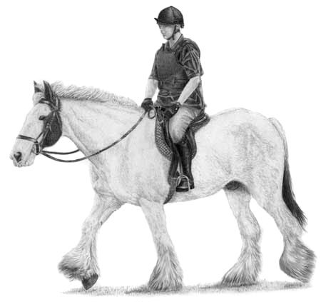 girl riding a horse sketch