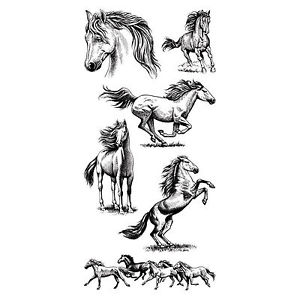 300x300 Inkadinkado ~ Horses ~ Cling Stamps ~ Horse, Riding, Running, Wild - Horse Riding Sketch