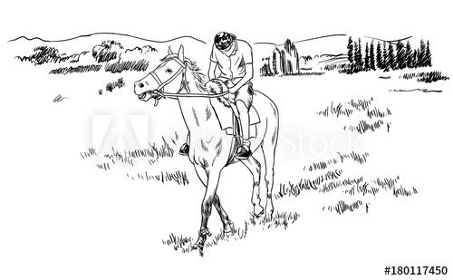 500x309 Horse Riding In The Fields Sketch Vector Illustration, Young Guy - Horse Riding Sketch